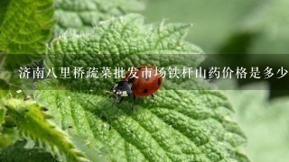 济南8里桥疏菜批发市场铁杆山药价格是多少钱1斤 济南8里桥疏菜批发市场铁杆山药价格是多少钱1斤