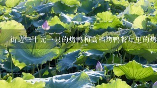 街边3十元1只的烤鸭和高档烤鸭餐厅里的烤鸭在本质 街边3十元1只的烤鸭和高档烤鸭餐厅里的烤鸭在本质