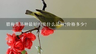 腊梅花品种最好的是什么品种?价格多少? 腊梅花品种最好的是什么品种?价格多少?