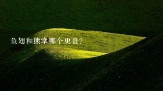 鱼翅和熊掌哪个更贵? 鱼翅和熊掌哪个更贵?