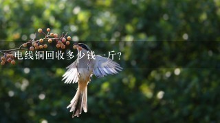 电线铜回收多少钱1斤? 电线铜回收多少钱1斤?