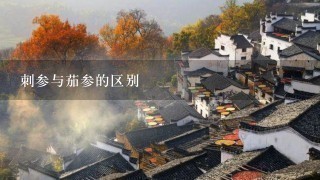 刺参与茄参的区别 刺参与茄参的区别