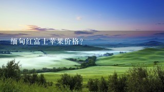 缅甸红富士苹果价格? 缅甸红富士苹果价格?