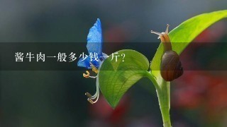 酱牛肉1般多少钱1斤? 酱牛肉1般多少钱1斤?