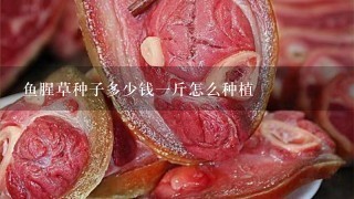 鱼腥草种子多少钱1斤怎么种植 鱼腥草种子多少钱1斤怎么种植