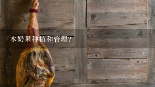 木奶果种植和管理? 木奶果种植和管理?