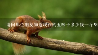 请问那位朋友知道现在的5味子多少钱1斤啊? 请问那位朋友知道现在的5味子多少钱1斤啊?