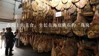 舌尖上的美食,生长在海底礁石的“燕窝” 舌尖上的美食,生长在海底礁石的“燕窝”