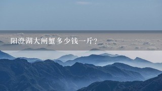 阳澄湖大闸蟹多少钱1斤? 阳澄湖大闸蟹多少钱1斤?