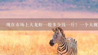现在市场上大龙虾1般多少钱1斤?1个大概几斤呢? 现在市场上大龙虾1般多少钱1斤?1个大概几斤呢?