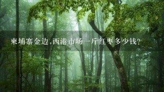 柬埔寨金边,西港市场1斤红枣多少钱? 柬埔寨金边,西港市场1斤红枣多少钱?