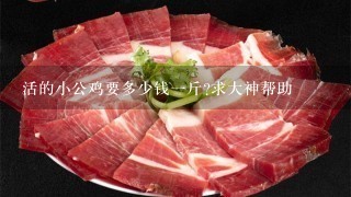 活的小公鸡要多少钱1斤?求大神帮助 活的小公鸡要多少钱1斤?求大神帮助