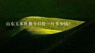 山东玉米价格今日价1斤多少钱? 山东玉米价格今日价1斤多少钱?