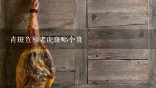 青斑鱼和老虎斑哪个贵 青斑鱼和老虎斑哪个贵