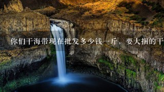 你们干海带现在批发多少钱1斤,要大捆的干海带,1捆多少斤 你们干海带现在批发多少钱1斤,要大捆的干海带,1捆多少斤