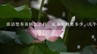 谁清楚养黄鳝怎么样,成本大概要多少,几个月能收成 谁清楚养黄鳝怎么样,成本大概要多少,几个月能收成