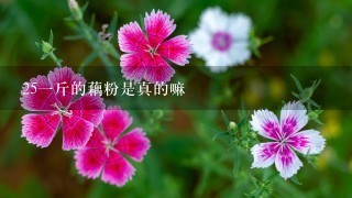 251斤的藕粉是真的嘛 251斤的藕粉是真的嘛