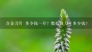 合金刀片 多少钱1斤?数控铣刀片多少钱? 合金刀片 多少钱1斤?数控铣刀片多少钱?