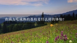 在南方吃成熟的荔枝是什么样的体验? 在南方吃成熟的荔枝是什么样的体验?