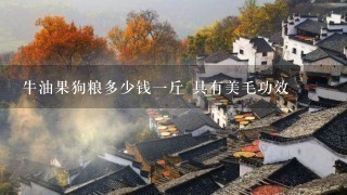 牛油果狗粮多少钱1斤 具有美毛功效 牛油果狗粮多少钱1斤 具有美毛功效