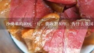 沙漠果约40元1斤,能收割80年,为什么我国种它的人 沙漠果约40元1斤,能收割80年,为什么我国种它的人