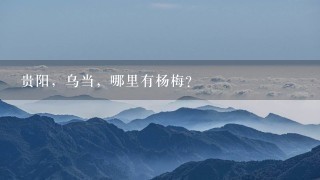 贵阳,乌当,哪里有杨梅? 贵阳,乌当,哪里有杨梅?