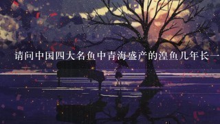 请问中国4大名鱼中青海盛产的湟鱼几年长1斤? 请问中国4大名鱼中青海盛产的湟鱼几年长1斤?