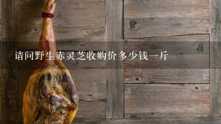 请问野生赤灵芝收购价多少钱1斤 请问野生赤灵芝收购价多少钱1斤