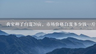我家种了白芨20亩。市场价格白芨多少钱1斤 我家种了白芨20亩。市场价格白芨多少钱1斤
