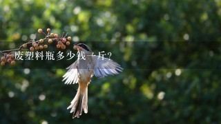 废塑料瓶多少钱1斤? 废塑料瓶多少钱1斤?