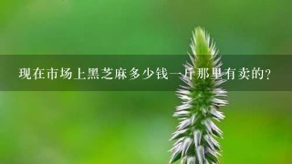 现在市场上黑芝麻多少钱1斤那里有卖的? 现在市场上黑芝麻多少钱1斤那里有卖的?