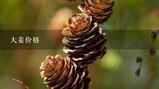 大姜价格 大姜价格