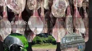 人参果的价格 人参果的价格