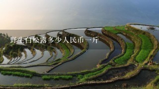 野生白松露多少人民币1斤 野生白松露多少人民币1斤