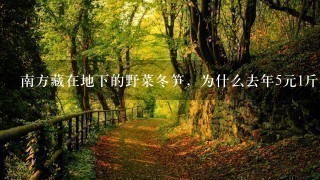 南方藏在地下的野菜冬笋,为什么去年5元1斤很抢手, 南方藏在地下的野菜冬笋,为什么去年5元1斤很抢手,