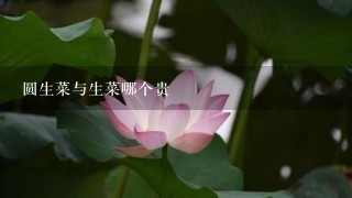 圆生菜与生菜哪个贵 圆生菜与生菜哪个贵