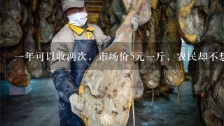1年可以收两次,市场价5元1斤,农民却不想种了, 1年可以收两次,市场价5元1斤,农民却不想种了,