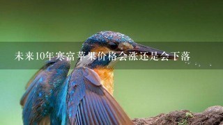 未来10年寒富苹果价格会涨还是会下落 未来10年寒富苹果价格会涨还是会下落