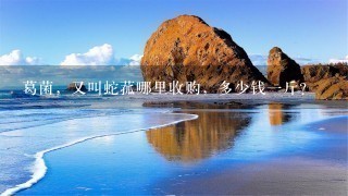 葛菌,又叫蛇菰哪里收购,多少钱1斤? 葛菌,又叫蛇菰哪里收购,多少钱1斤?