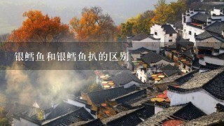银鳕鱼和银鳕鱼扒的区别 银鳕鱼和银鳕鱼扒的区别