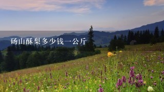 砀山酥梨多少钱1公斤 砀山酥梨多少钱1公斤