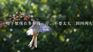 梭子蟹现在多少钱1斤,不要太大3到4两左右 梭子蟹现在多少钱1斤,不要太大3到4两左右