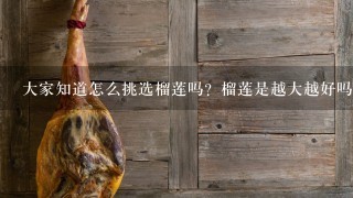 大家知道怎么挑选榴莲吗?榴莲是越大越好吗? 大家知道怎么挑选榴莲吗?榴莲是越大越好吗?