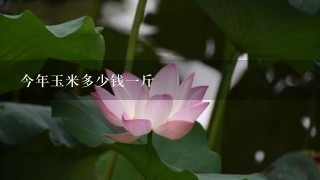 今年玉米多少钱1斤 今年玉米多少钱1斤