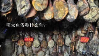 明太鱼俗称什么鱼? 明太鱼俗称什么鱼?