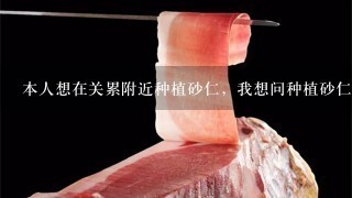 本人想在关累附近种植砂仁,我想问种植砂仁的人士, 本人想在关累附近种植砂仁,我想问种植砂仁的人士,