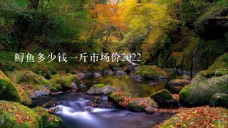 鲟鱼多少钱1斤市场价2022 鲟鱼多少钱1斤市场价2022