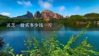 灵芝1般买多少钱1斤 灵芝1般买多少钱1斤