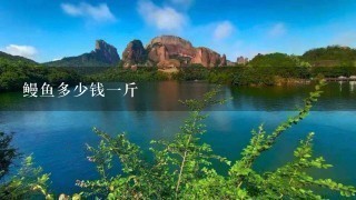 鳗鱼多少钱1斤 鳗鱼多少钱1斤