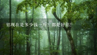 铝现在是多少钱1斤?都是好铝! 铝现在是多少钱1斤?都是好铝!